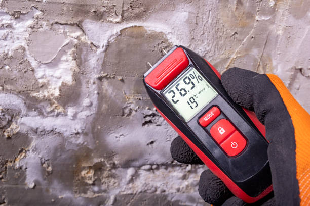 Best Crawl Space Mold Remediation in Linden, NJ