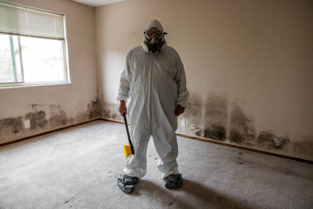 Best HVAC Mold Remediation in Linden, NJ